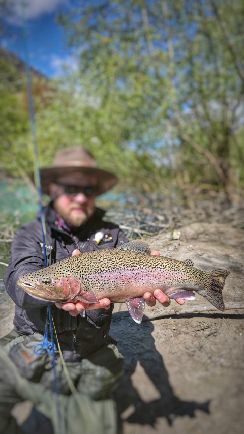 rainbow lake s.